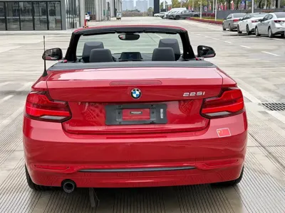 BMW 2 Series (Import)