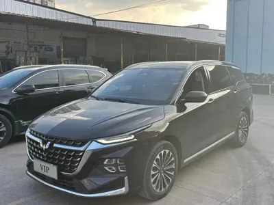 Wuling Victory