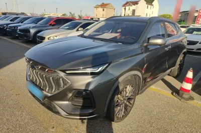 CHANGAN OSHAN X5