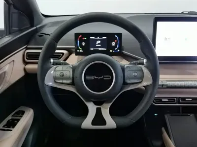 BYD Seagull