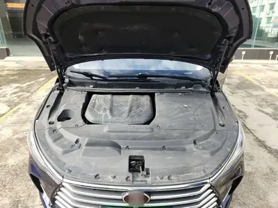 BYD MAX