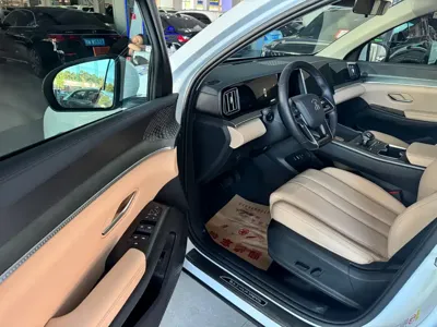 BYD Pro New Energy