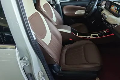 Wuling Bingo
