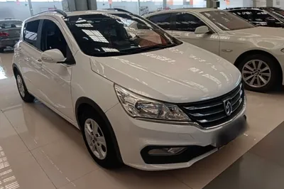 Baojun 310