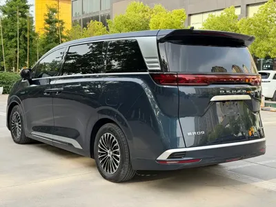 Denza Denza D9