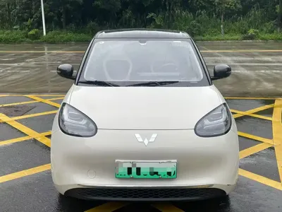 Wuling Bingo