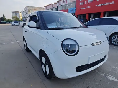 Changan Lumin