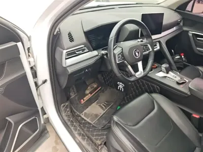 BYD Pro