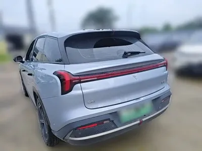 NETA Neta L