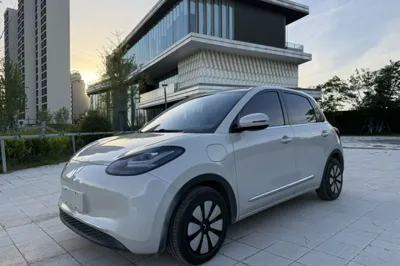 Wuling Bingo