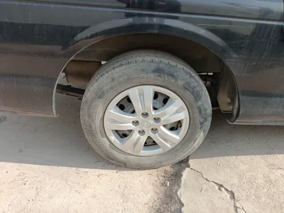 Forthing Lingzhi