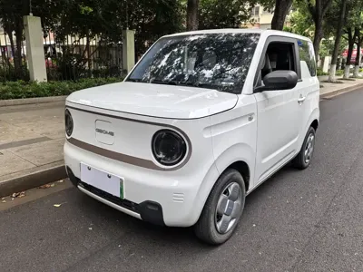 Galaxy Panda