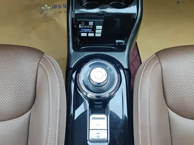 Wuling Bingo