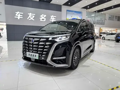 Denza Denza D9