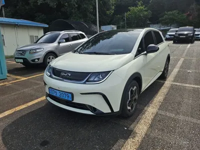 BYD Dolphin