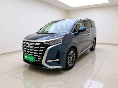 Denza Denza D9