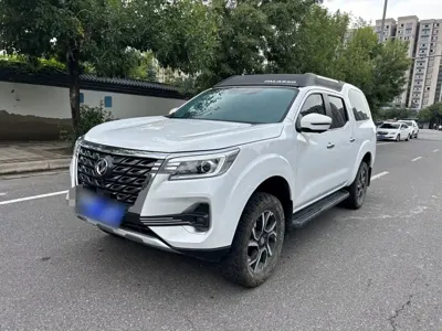 Dongfeng Palasso