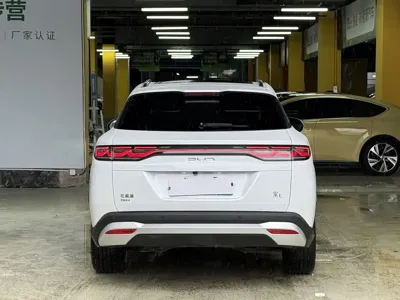 BYD L DM-i