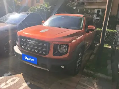 Haval Big Dog