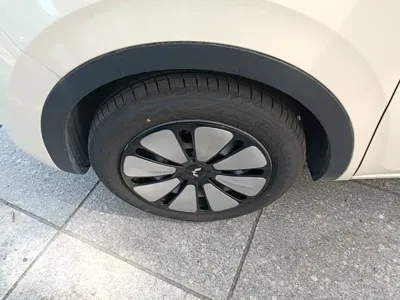 Wuling Bingo