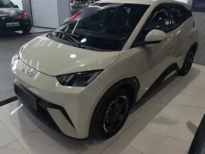 BYD Seagull