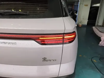 BYD Pro New Energy
