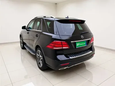 Mercedes-Benz 奔驰GLE(进口)