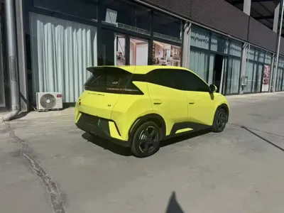 BYD Seagull