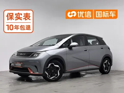BYD Dolphin