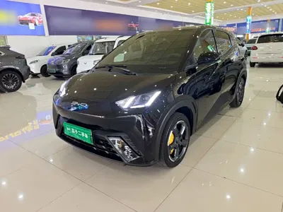 BYD Seagull
