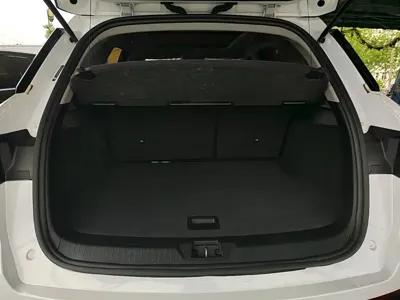 BYD Pro