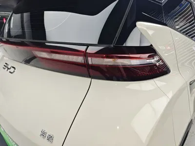 BYD Seagull