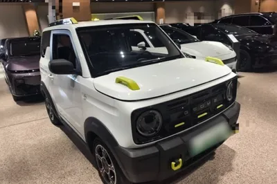 Geely Galaxy Panda