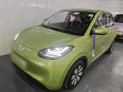 Wuling Bingo