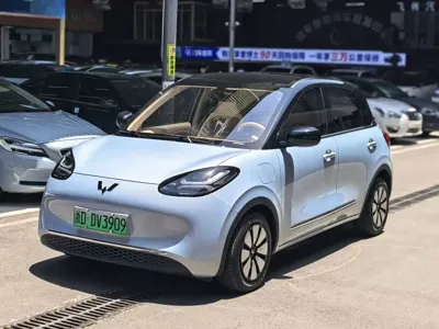 Wuling Bingo
