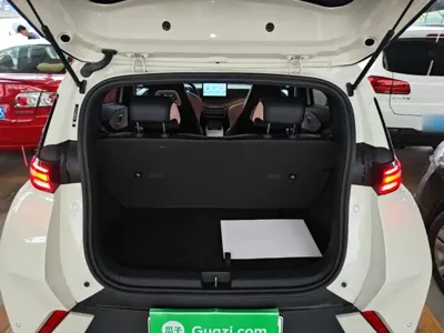BYD Seagull
