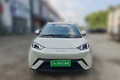 BYD Seagull
