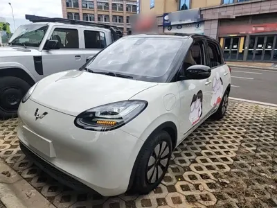 Wuling Bingo