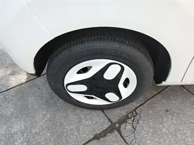 Galaxy Panda