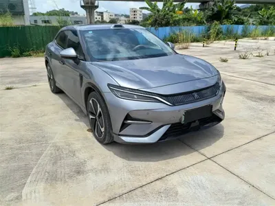 BYD L EV