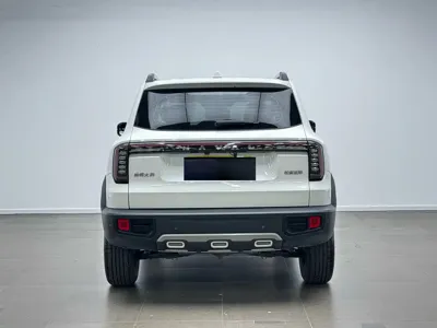 Haval Big Dog