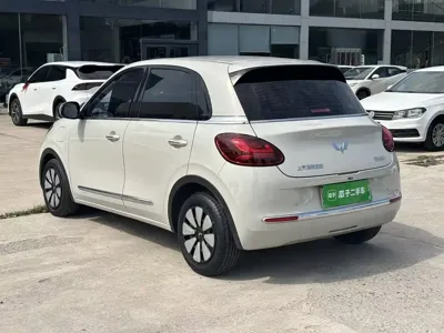 Wuling Bingo