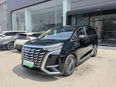 Denza Denza D9