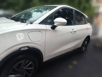 NETA Neta V