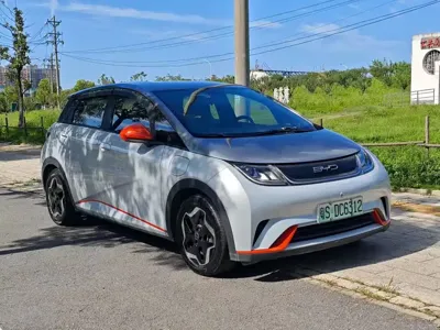BYD Dolphin