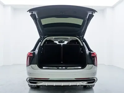 Hongqi Hongqi E-HS9