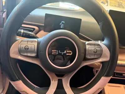 BYD Seagull
