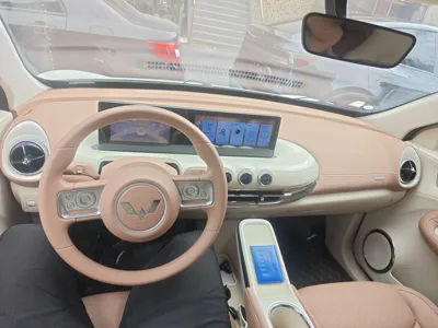 Wuling Bingo