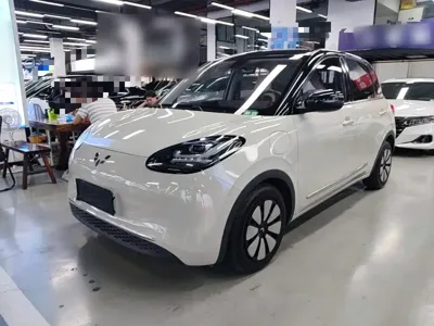 Wuling Bingo