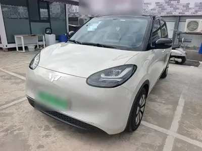 Wuling Bingo